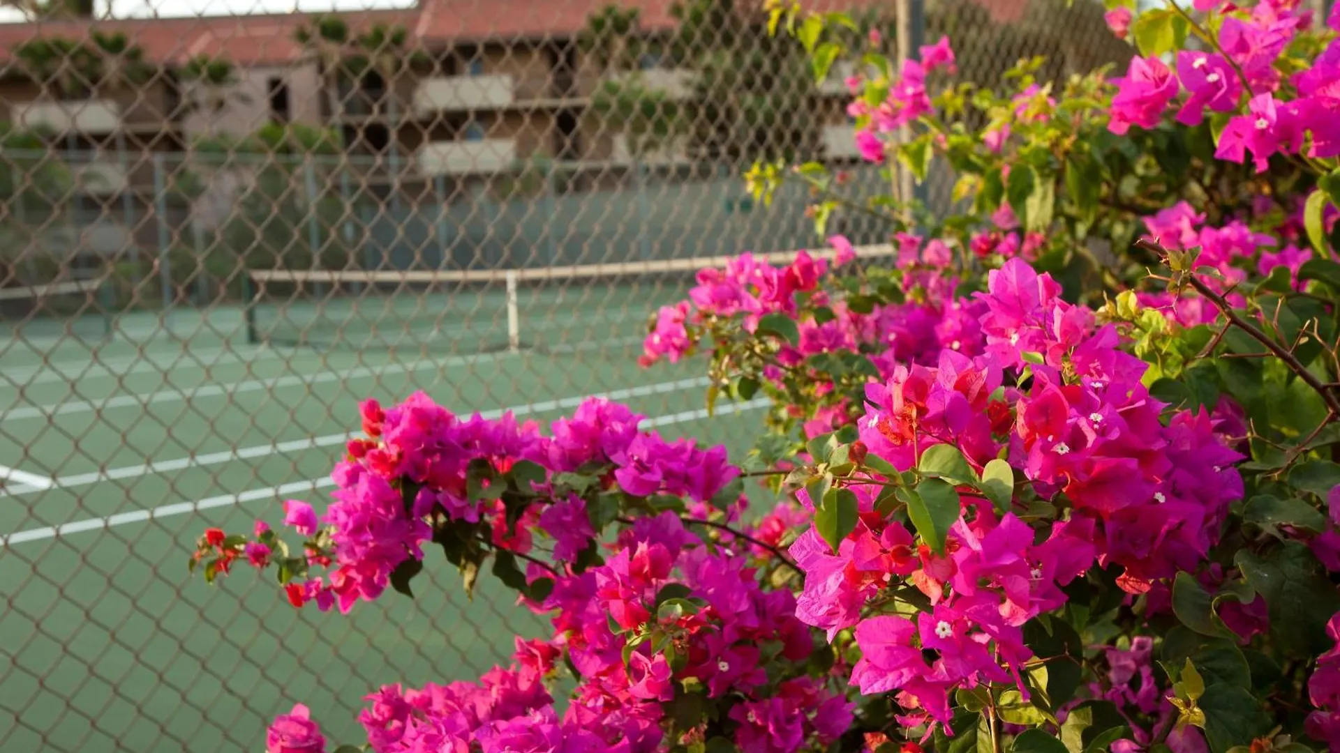 Maui Vista 1322 - Mch Villa Kihei United States