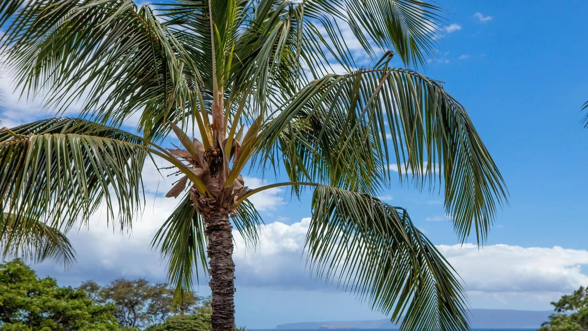 Maui Vista 1322 - Mch Villa Kihei